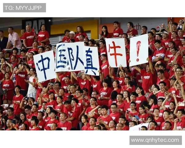 足球界的阴暗面揭示了家暴问题的严重性与影响力